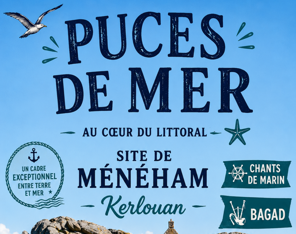 Puces de mer à Meneham
